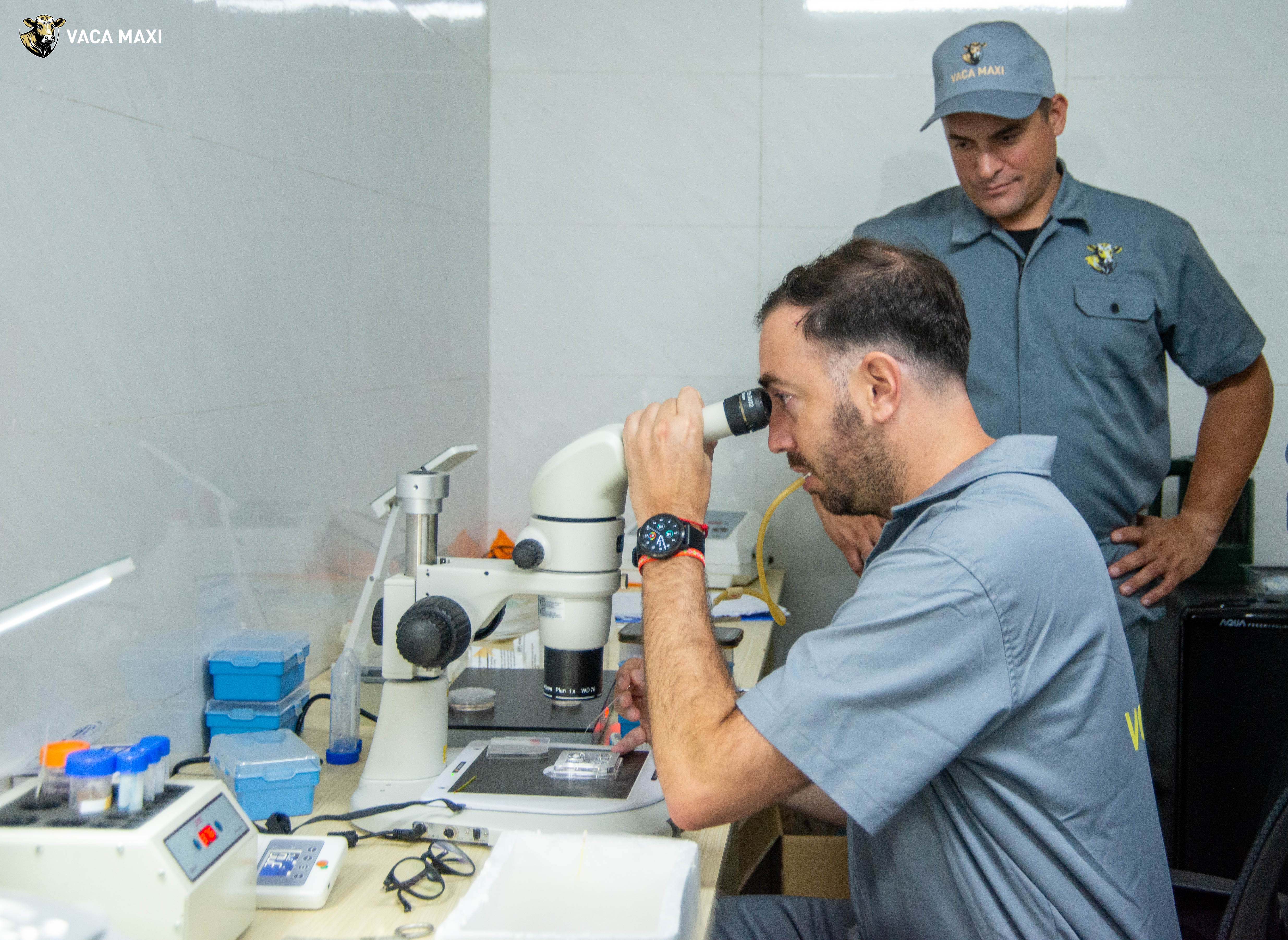 IVF tại VACAMAXI