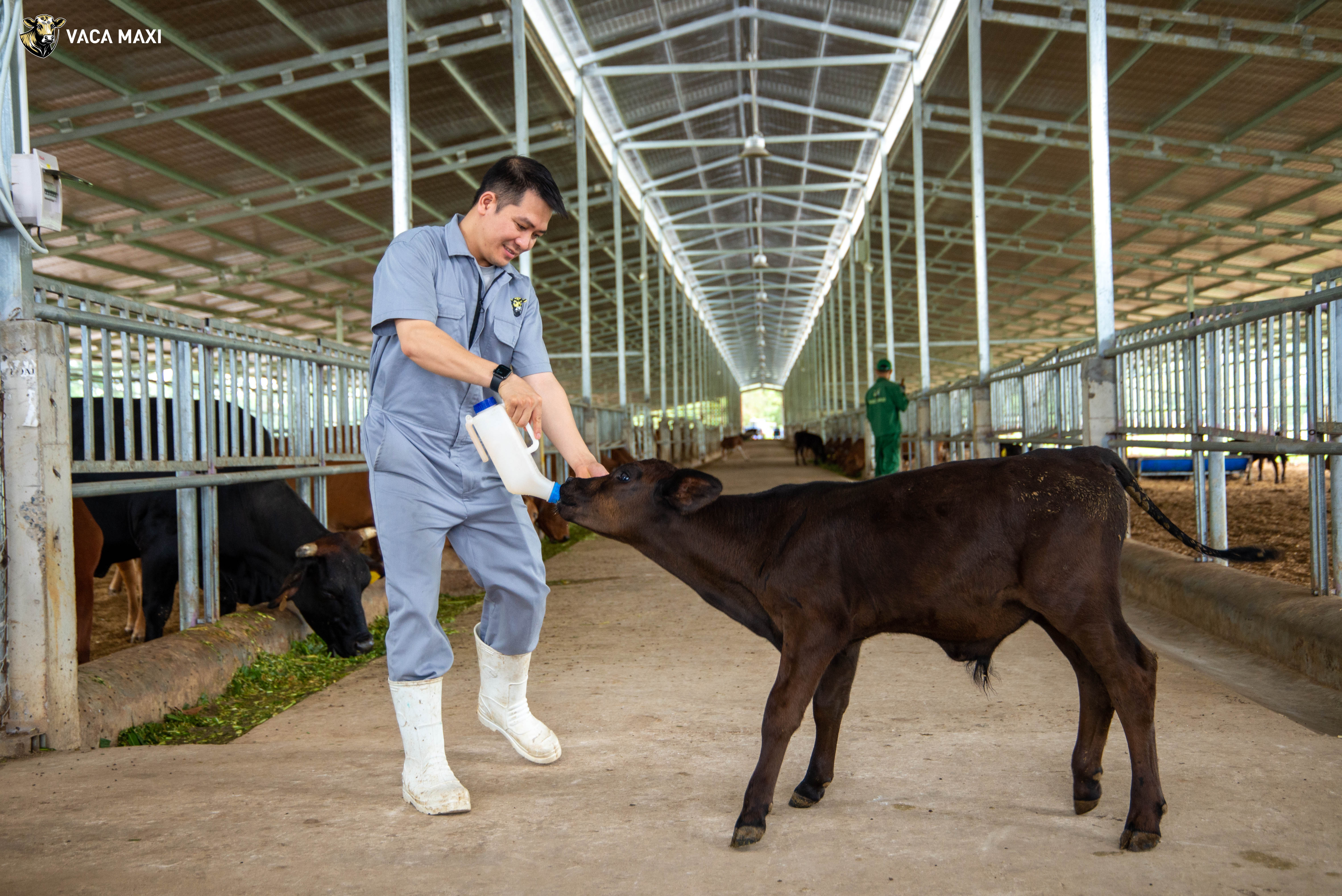 Chế độ chăm sóc và dinh dưỡng chuyên biệt